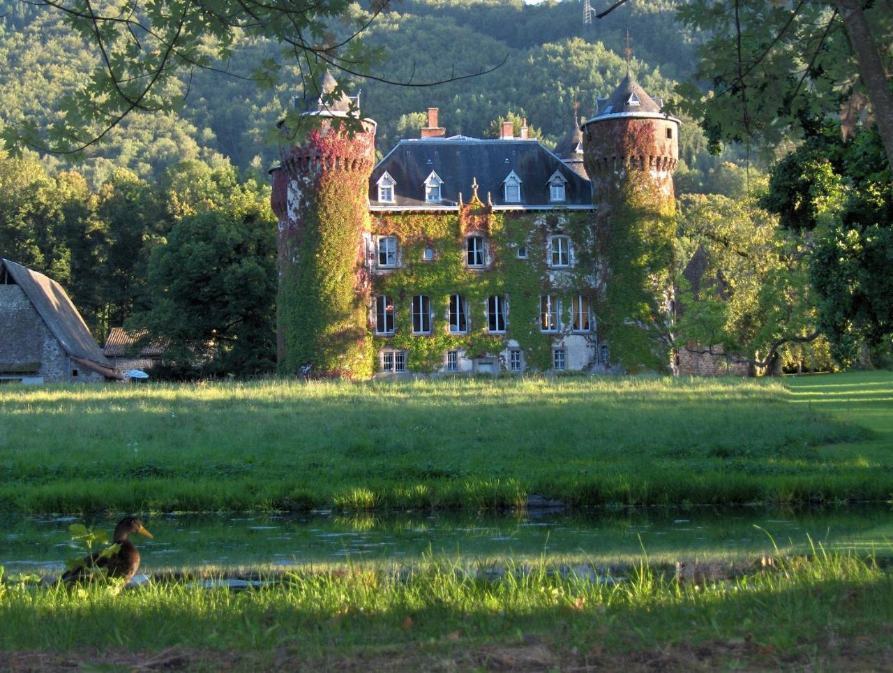 Chateau De Sedaiges Marmanhac Buitenkant foto